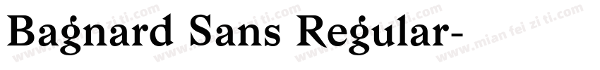 Bagnard Sans Regular字体转换